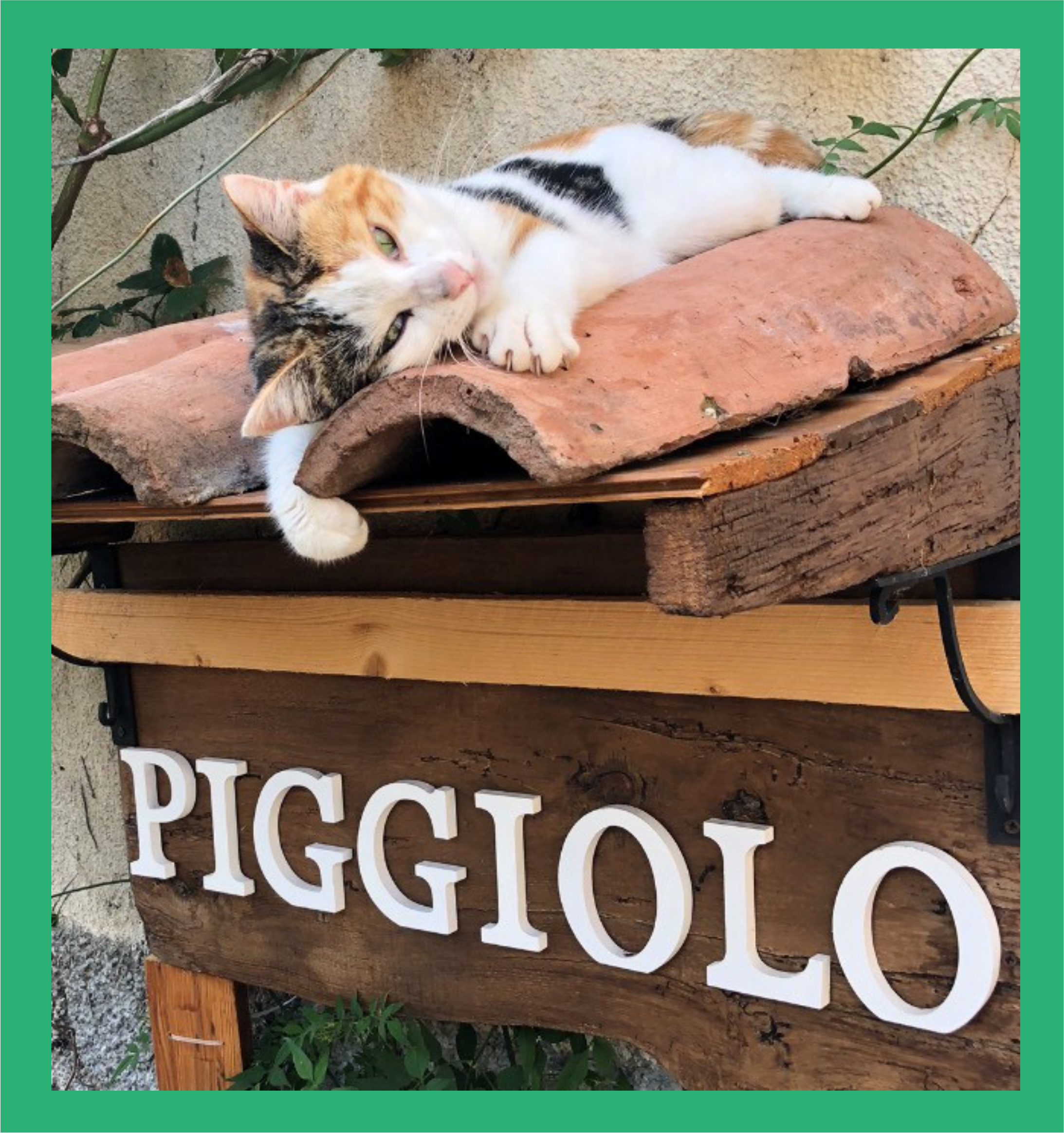 Il Piggiolo - Locazione turistica - Appartamenti